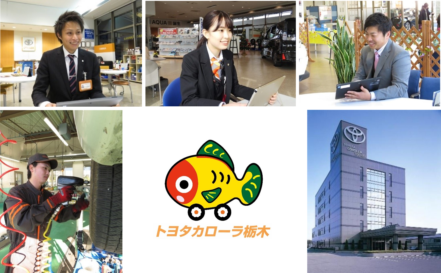 採用情報 トヨタカローラ栃木