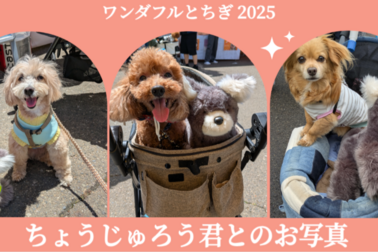 ワンダフルとちぎ