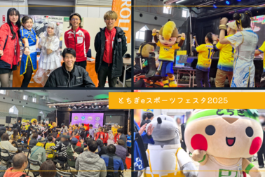 とちぎeスポーツフェスタ